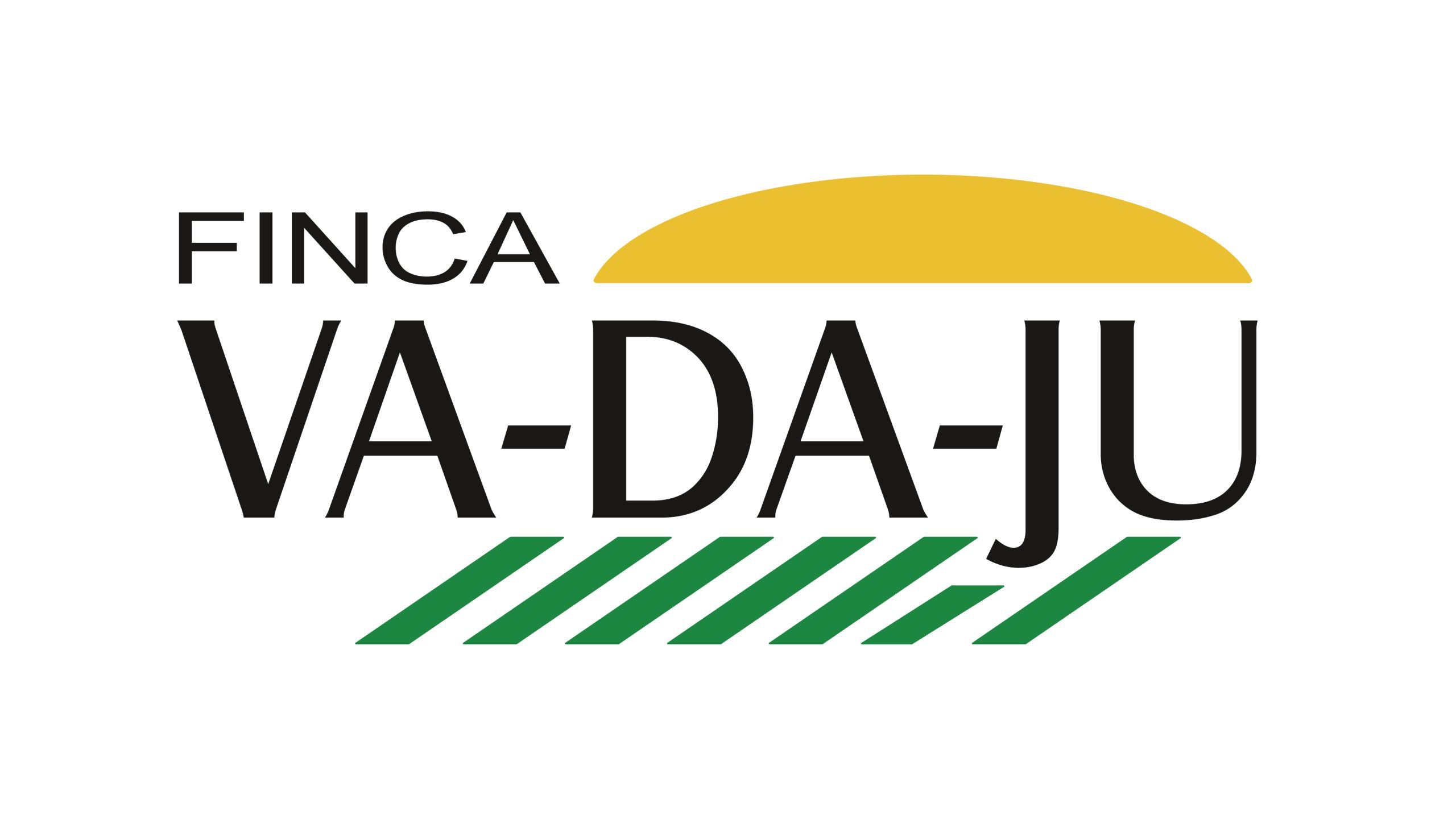VADAJU ISOLOGOTIPO-01